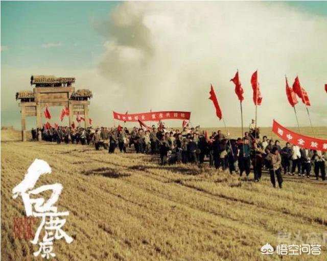张雨绮电影白鹿原:《白鹿原》的书和电影、电视哪个更好看？