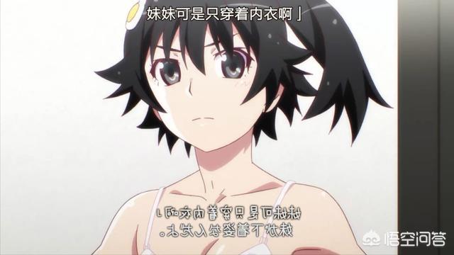 柴犬奇迹物语 bd:关于狗狗的电影大全，动画片不算？