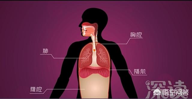 异物卡喉怎么办，人的嗓子里卡了异物，应该如何处理