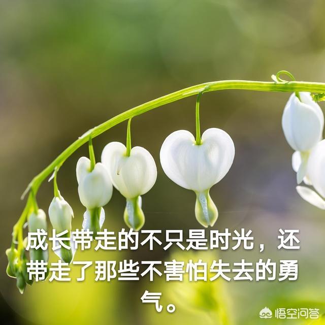 朋友圈说说的好句子励志:有哪些既励志又温暖的朋友圈励志语录？