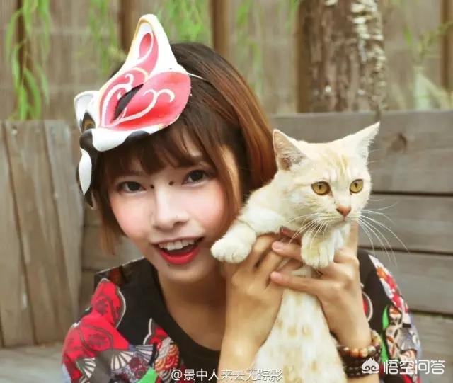 无锡 宠物摄影:怎样才能给宠物拍出美美的照片？ 无锡宠物摄影工作室