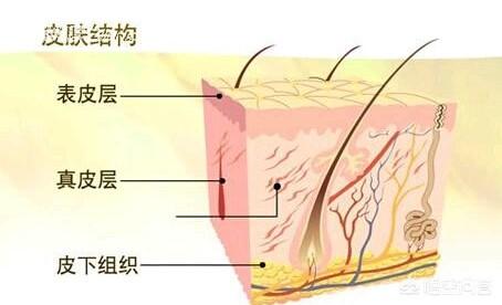 美容护肤小妙招,如何护肤让自己的皮肤变得光滑？