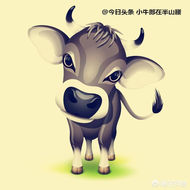 对于即将第一次晋升为爸爸的男士,你有什么建议？