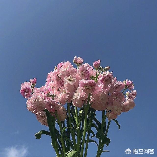半夜发的<a href=https://maguai.com/list/256-0-0.html target=_blank class=infotextkey><a href=https://maguai.com/list/256-0-0.html target=_blank class=infotextkey>朋友圈</a></a>句子:有没有适合半夜三更发<a href=https://maguai.com/list/256-0-0.html target=_blank class=infotextkey><a href=https://maguai.com/list/256-0-0.html target=_blank class=infotextkey>朋友圈</a></a>的心情说说？(三更半夜<a href=https://maguai.com/list/256-0-0.html target=_blank class=infotextkey><a href=https://maguai.com/list/256-0-0.html target=_blank class=infotextkey>朋友圈</a></a>说说)