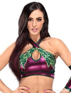女子wwe:WWE最有气质的女子选手是谁？