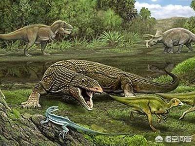 哥斯拉原型海鬣蜥:崖蜥是如何进化成沧龙称霸海洋的？