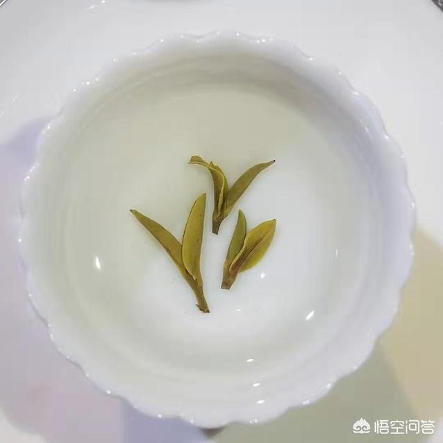 陈诗云微拍:茶叶在杯子里张开怎么拍摄