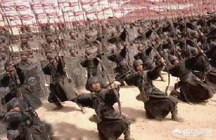 赳赳老秦共赴国难:赳赳老秦是什么意思，有什么历史典故吗？