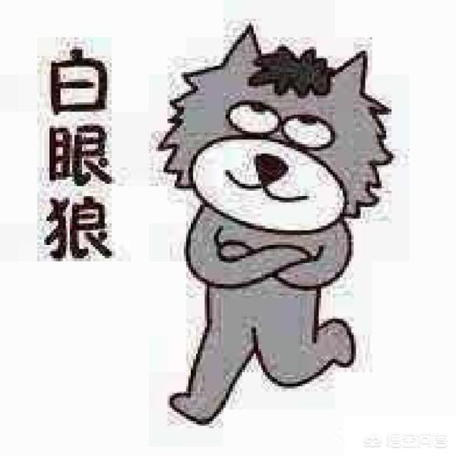 怎么训练狗把你当主人:狗会认狗或其他动物（除人以外）当主人吗？