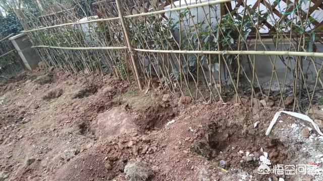 怎么做院子围墙又便宜又好看？插图1