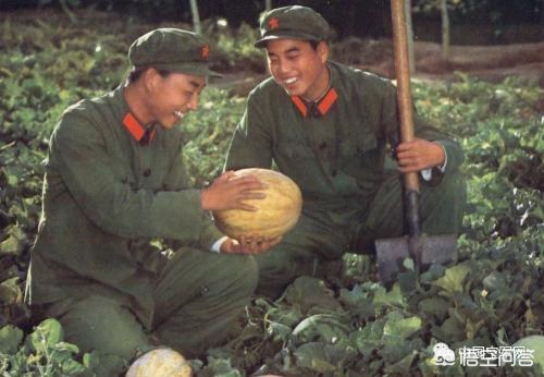 请大家讲一些部队当兵的有什么故事？