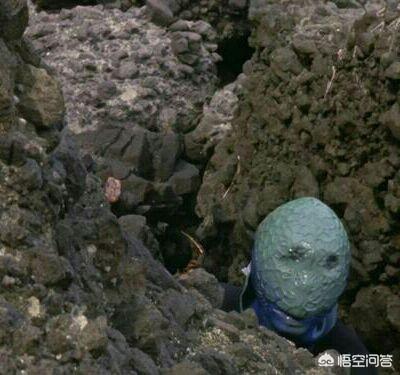 稻森诗织:奥特曼里恶心的怪兽有哪些？