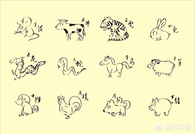 贪睡母女猫走红雌:《庆余年》叶轻眉什么来历？
