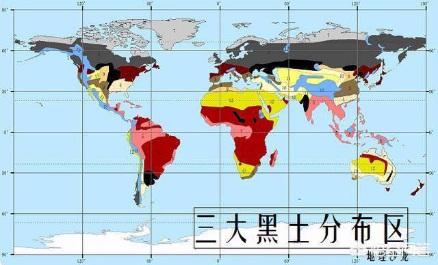 纯黑色土猫:哪种猫粮比较适合土猫吃？ 纯黑色土猫是什么品种