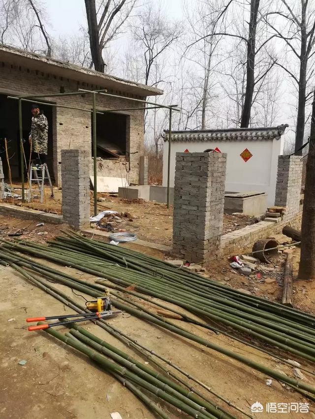 怎么做院子围墙又便宜又好看？插图108