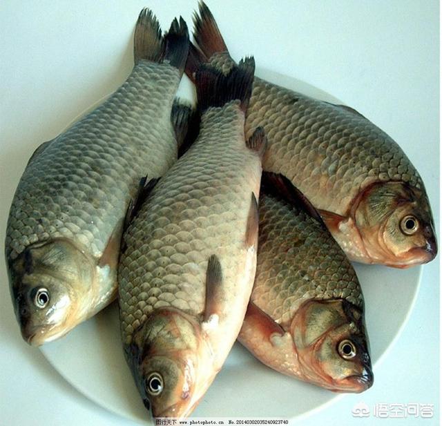 你接受不了而且吃不下的食物是什么?