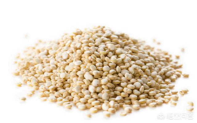藜麦蛋白质含量有多高，每天吃点藜麦，坚持一个月会有什么好处
