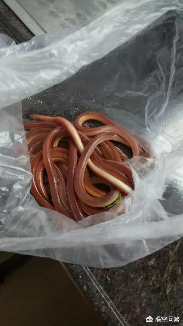 投资一万,有哪些项目,每天会有一千的稳定日收入？