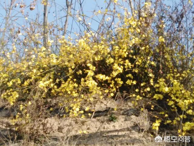 你读过描写春天最感动的古诗词有哪些？为什么？