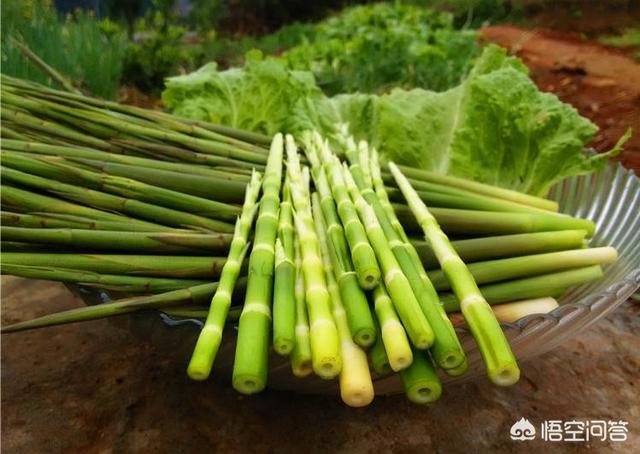 苦笋怎么样长久保存，农村野竹笋是山区土特产，怎样保鲜到春节出售
