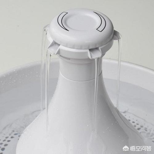 为什么猫咪能像液体一样缩在小盒子里:为什么猫咪能像液体一样缩小盒子 银渐层为什么一直蹲猫砂里？