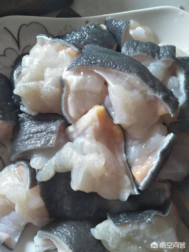 大鲵图片:娃娃鱼怎么做既方便又好吃