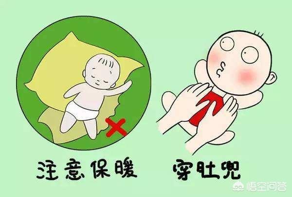 搓手猫:宝宝身上哪些地方最怕冷？ 搓手猫表情包