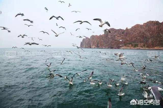 夏天适合什么微信名最好:有哪些地方适合赶海最好是山东周边一带