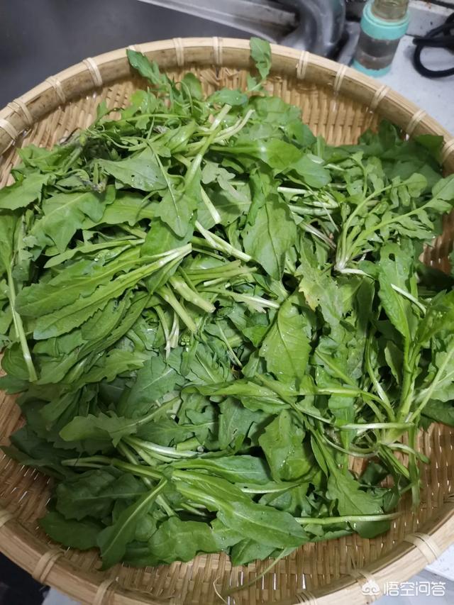 普通老百姓做什么工作合适？