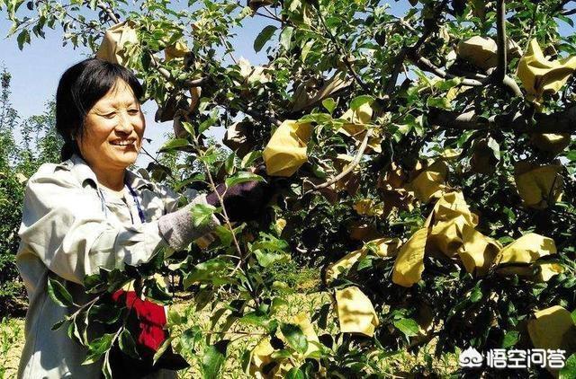 涉谷果步:没有wifi时电视果还可以用吗？