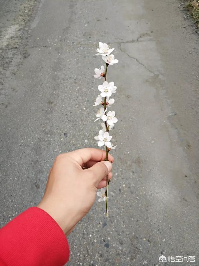 异地恋很久没见了,专程来找我玩,待几天,我应该准备什么？已经谈了二年了？