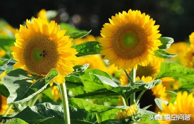 男士微信颓废头像:自卑能让一个男人变成什么样子