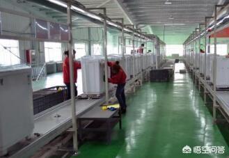 花泥画(花泥画的创业前景)