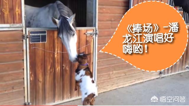 为什么很多网红女孩比明星还漂亮却进不了娱乐圈？
