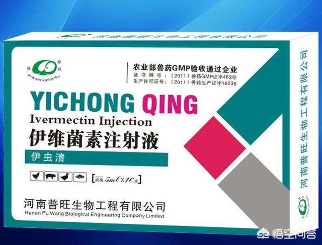 蜱虫病治疗:蜱虫病治疗的费用是多少钱 猪身上有蜱虫用什么药治？