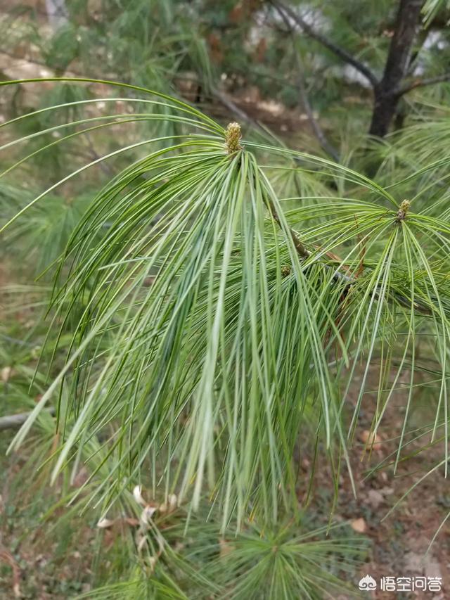 刘荣贤(刘荣贤滁州)