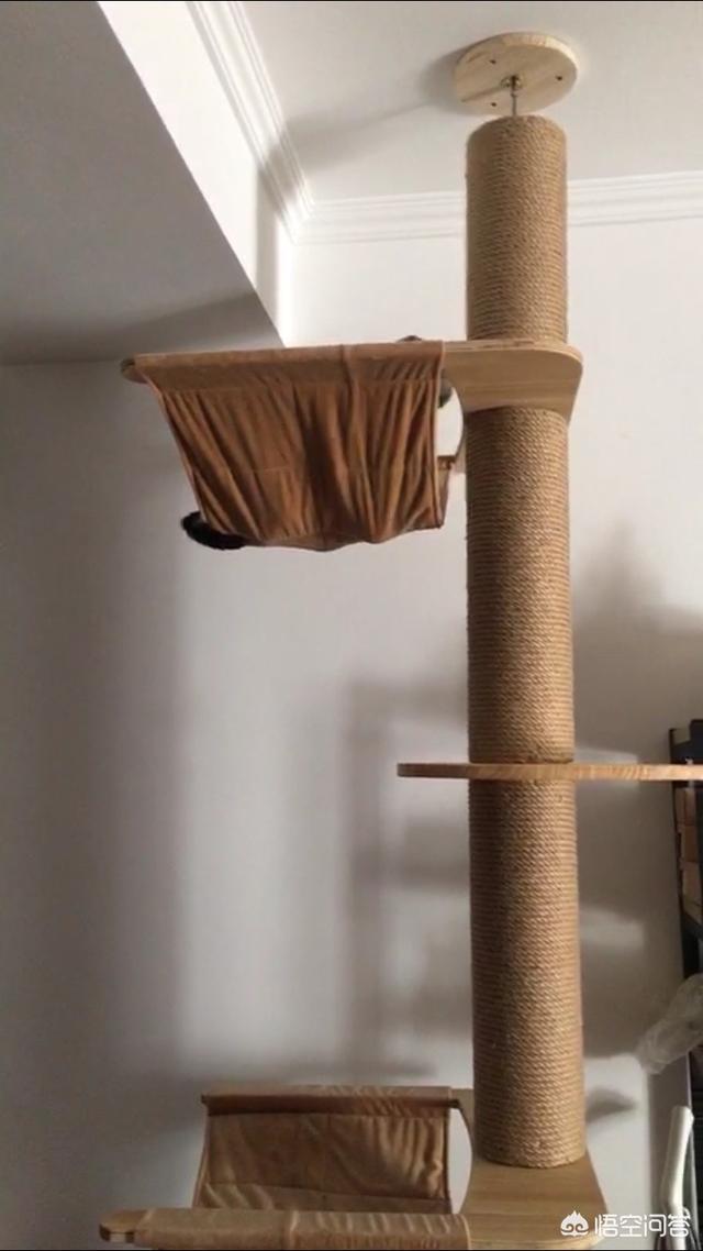 camily猫爬架怎么样:猫爬架有必要买么，想看大家晒晒你们主子的猫爬架，求推荐啊？