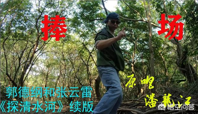除了4（孙露、谭艳、张伟珈、雷婷）位磁性女歌手外还有哪些中国女磁性歌手甜美好听的？