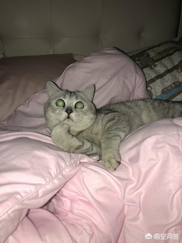 贪睡母女猫走红 图:那些徒步的人，真的是走路去嘛？