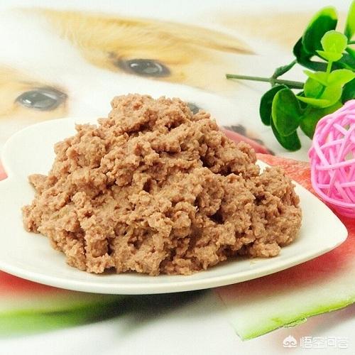 约克夏狗吃什么好:约克夏狗狗好养吗？适合家庭里饲养吗？