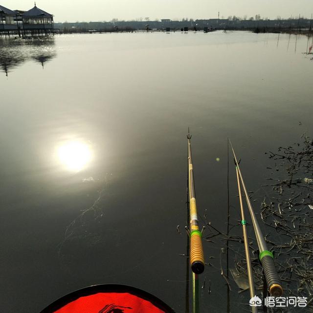 怎样钓鲤鱼,请分享一下钓鲤鱼的细节技巧？