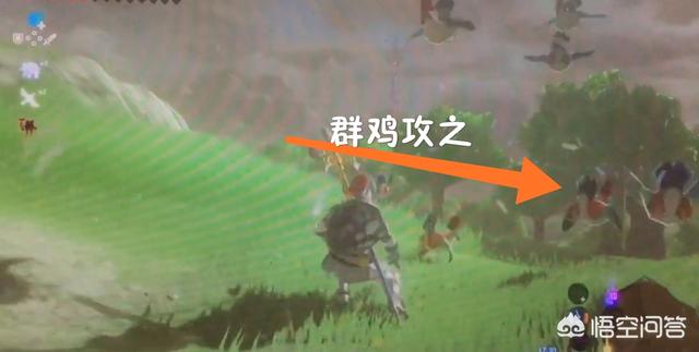 塞尔达传说游戏灵异事件:塞尔达传说：旷野之息里，你有没有碰到过一些小概率的事件？
