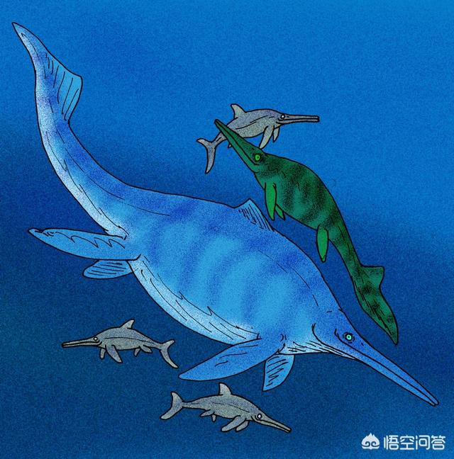 2000万年前化石树:为什么没有发现进化中的人类化石（带尾巴的化石）？