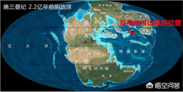 2000万年前化石树:为什么没有发现进化中的人类化石（带尾巴的化石）？