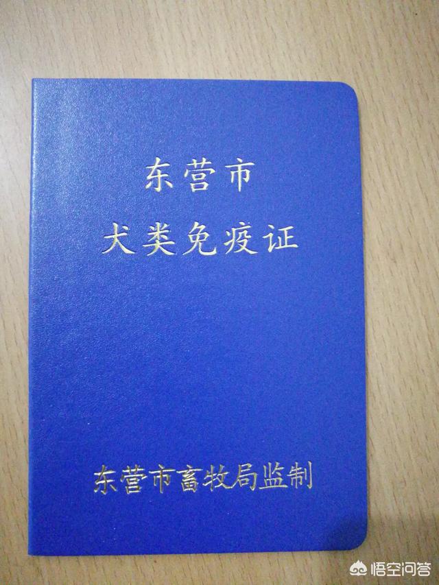 普及宠物狗知识贴:养狗有哪些宠主应该知道的冷知识？ 宠物狗的基础知识大全