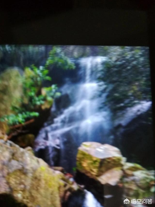 怎么看待爱情，爱情又是什么？