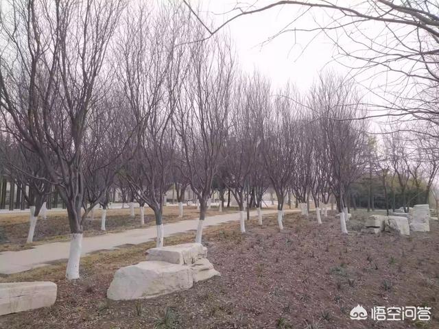 我有大量长期流转的土地,想发起一个众筹种植水果和养土鸡的项目,怎么操作？