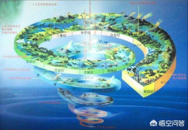 寒武纪为什么会突然的发生生物物种大爆发？