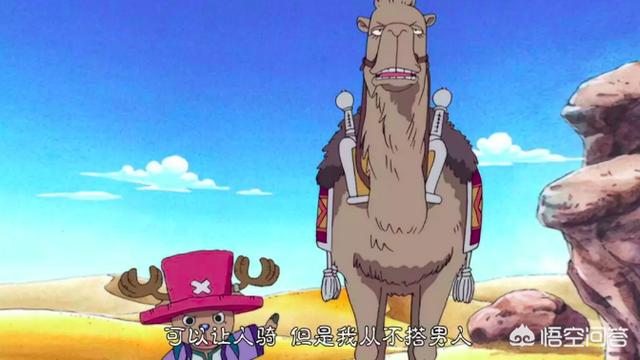 海贼王里面的红鼻子是什么动物:《海贼王》你认为最特别的一个海贼是谁？