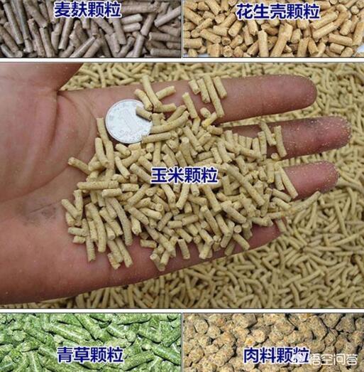 獭兔饲料机:兔饲料颗粒机都有哪些型号？